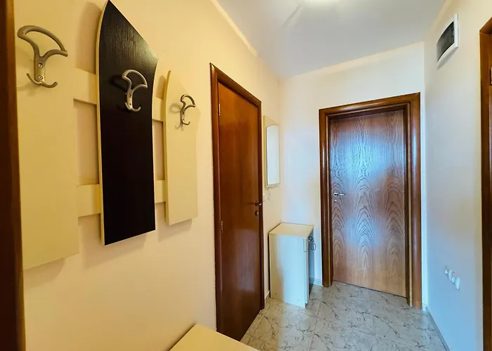 Lazur 1 7- 5 * 圣弗拉斯